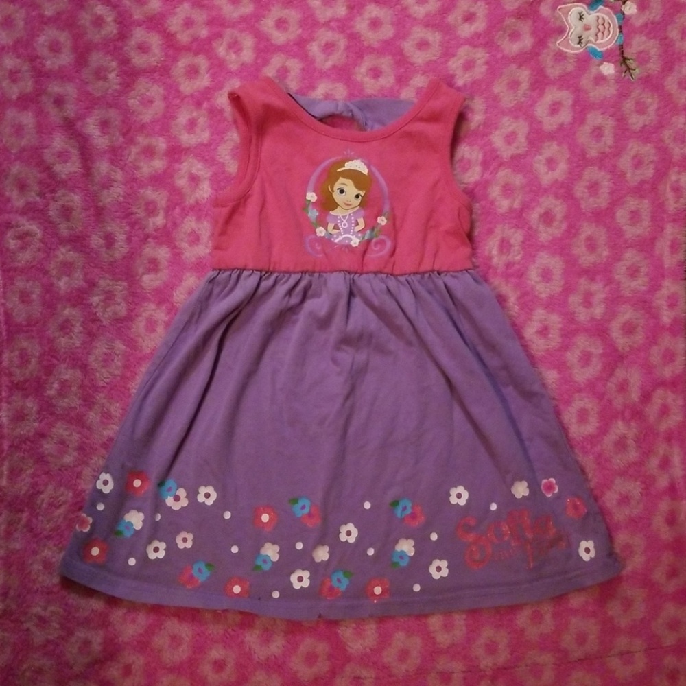 Sofia the First Dress